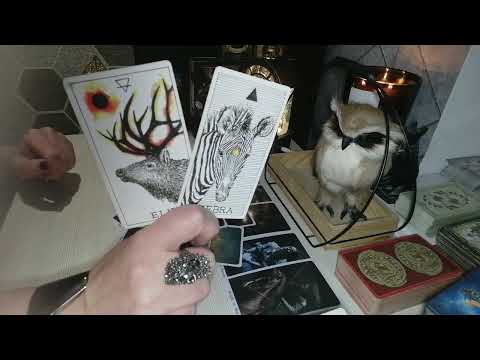 Видео: 💥🤷‍♀️Его всего колотит и трясет💥. Что там происходит с ним из за Вас🤷‍♀️💥