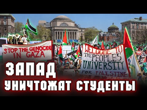 Видео: Запад уничтожат студенты. Виктор Вахштайн | Аркадий Мил-Ман | Михаил Гуревич