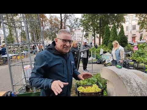 Видео: 13 сентября 2025 года. Выставка винограда в Гомеле. Беларусь. 