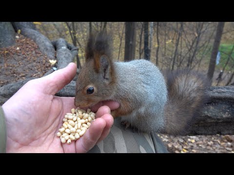 Видео: Толстая, Рыжая и Модель в одном ролике / Tolstaya, Redhead and Model in the same video