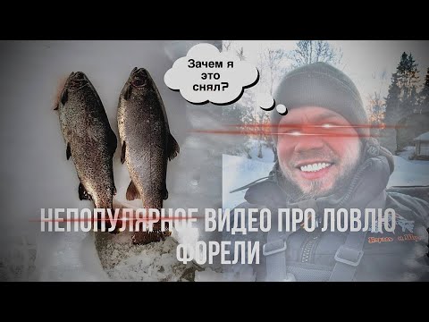 Видео: |Форелевая рыбалка на платнике со льда|Видео которое никому не интересно|КРХ Краснопресненский пруд|