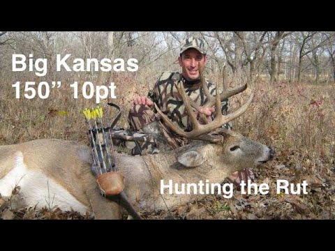 Видео: Традиционная охота с луком, стрельба из лука с палкой, Канзас 150 от Стива, луки «Чёрная вдова», ...