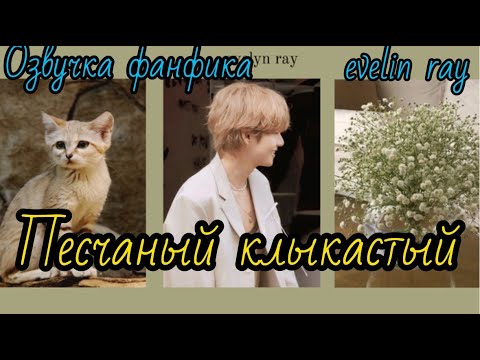 Видео: ПЕСЧАНЫЙ КЛЫКАСТЫЙ | Озвучка фанфика  | #БТСозвучка #bts #фанфик