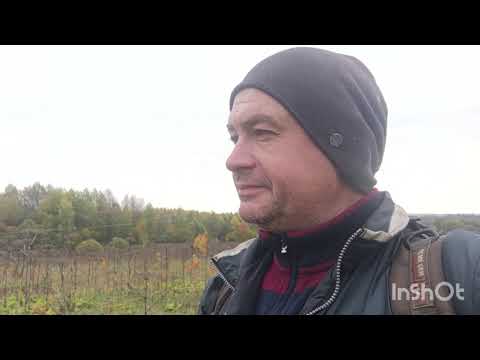 Видео: Осень 2025