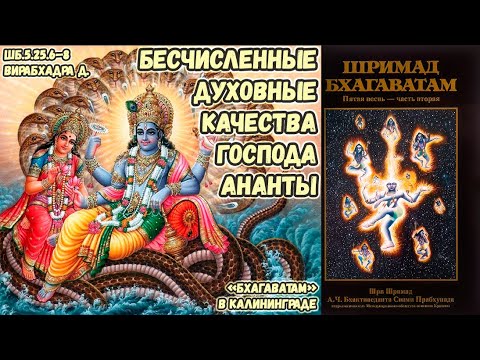 Видео: Бесчисленные духовные качества Господа Анантадевы. Вирабхадра д. ШБ.5.25.6–8