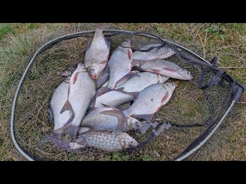 Видео: 3 часа с фидером на зимнем водохранилище 02 02 2025