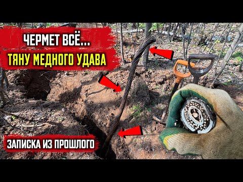 Видео: Копаю Медный КАБЕЛЬ с запиской предков / КОП металла
