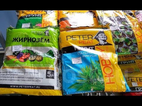 Видео: 11 февраля 2019г. ГРУНТЫ из магазина ...КАКОЙ ЛУЧШЕ
