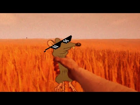 Видео: Трясу крысу 🐀