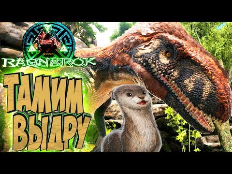 Видео: ПРИРУЧАЕМ ВЫДРУ И МЕГАЛОЗАВРА - ARK Survival Evolved Выживание на Ragnarok #14
