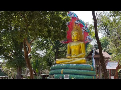 Видео: Сосредоточение