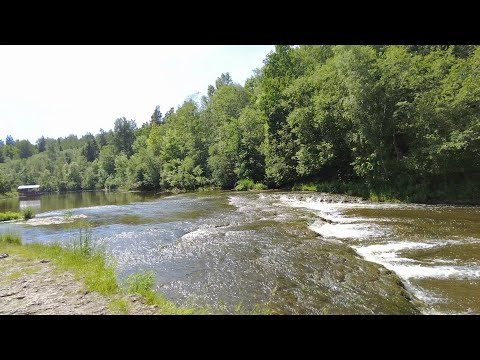 Видео: Редкий семейный отдых Прогулка по Сабиле