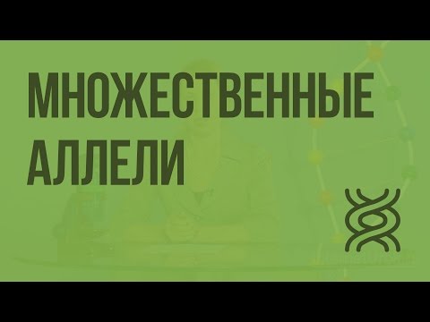 Видео: Множественные аллели. Анализирующее скрещивание. Видеоурок по биологии 10 класс