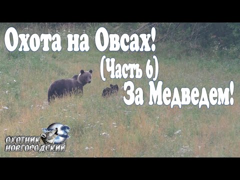 Видео: Охота на Овсах!(Часть 6) За Медведем!