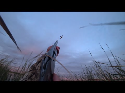 Видео: Охота на утку  2023 - с лодки