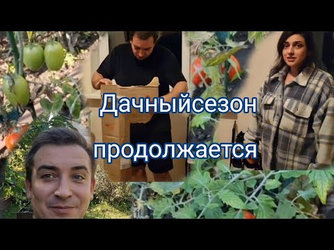 Видео: Выгодно покупатьОсенью/ Дачныйсезон продолжается 