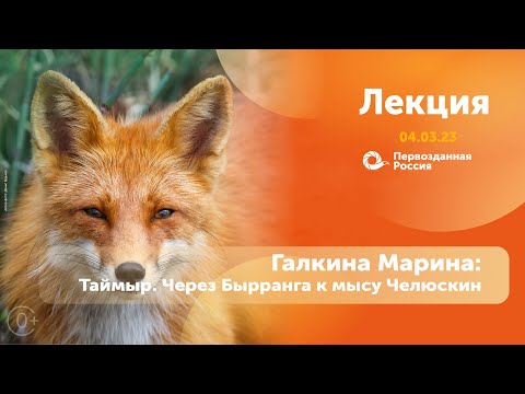 Видео: Галкина Марина: Таймыр. Через Бырранга к мысу Челюскин