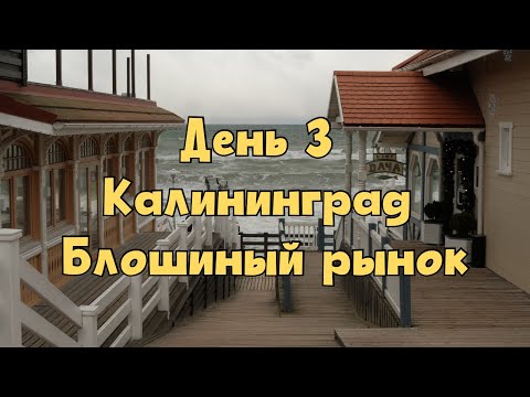 Видео: День 3. Из Зеленоградска в Калининград. Где блошиный рынок? Шторм. Погода на Балтике. Стихия бушует🌊