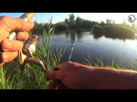 Видео: Ночная рыбалка на р Илек. Зачётный голавль на живца. Ловля на донку. Актобе 2025г