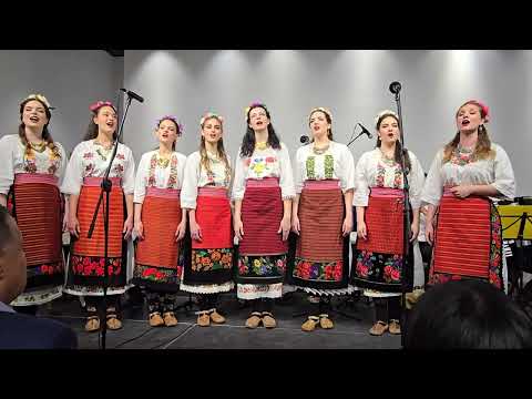 Видео: "Ој ливадо росна траво" - велики народни оркестар и женска група певача ансамбла "ВИЛА"