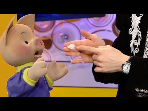 Видео: ☀️С добрым утром, малыши! Фокусник Александр Прима в гостях у Хрюши и Антона✨