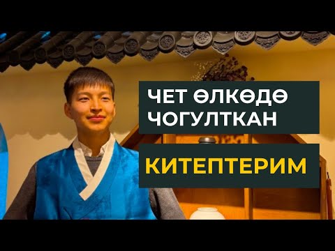 Видео: Чет өлкөдө 1,5 жылда окуган китептерим. Марлен Борубаев. #турция #китеп