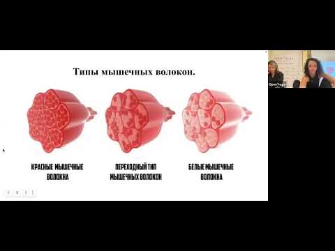 Видео: 20251025_Гаятри24_ОбщееСЗ_Мышечная система