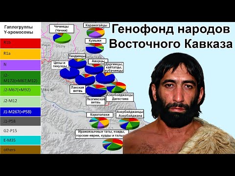 Видео: Генофонд народов Восточного Кавказа на основе гаплогрупп Y-хромосомы и аутосомных данных