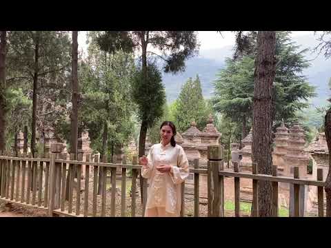 Видео: Шаолинь и его окрестности