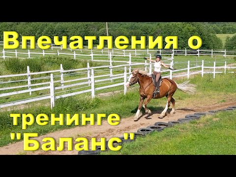 Видео: Отзывы учеников о тренинге "Баланс"