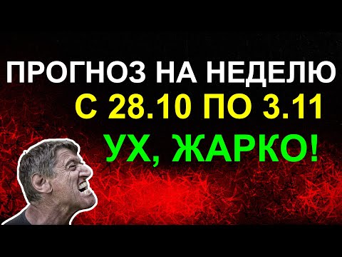 Видео: ПРОГНОЗ НА НЕДЕЛЮ С 28.10 ПО 03.11. НОВОЛУНИЕ В СКОРПИОНЕ. СУПЕР-НЕДЕЛЯ 😁