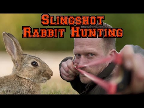Видео: Охота на кроликов с использованием катапульты/рогатки и ловля с помощью силков