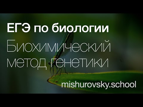 Видео: Биохимический метод генетики |  Биология ЕГЭ