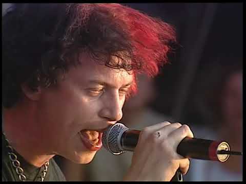 Видео: НАШЕСТВИЕ 2002: Тараканы!