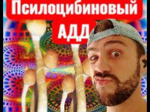Видео: Трип репорт Или как я Чуть не поехал Кукухой