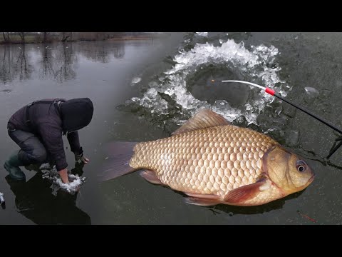 Видео: ✅Карасі КРАДУТЬ вудки!😱 Тонка крига, ледь вилізли!⛔