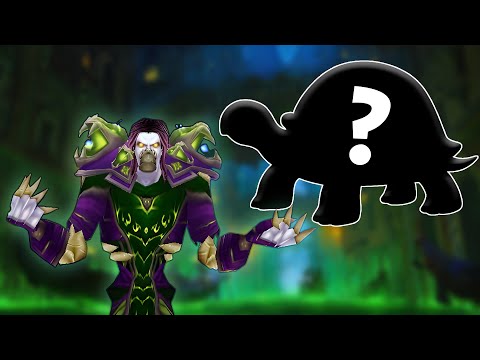 Видео: Что не так с Turtle WoW?