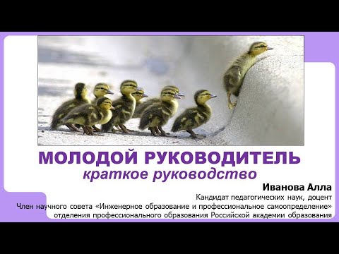 Видео: Молодой руководитель: краткое руководство