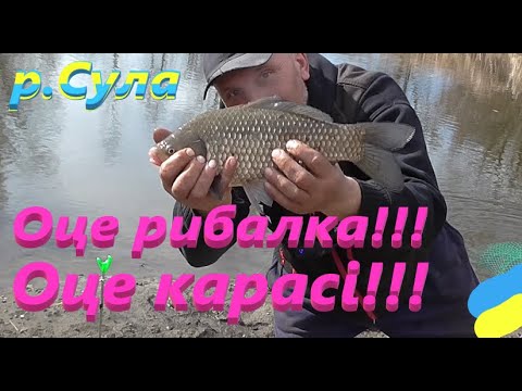 Видео: СУПЕР рибалка на карася в березні #РибачуЯкУмію