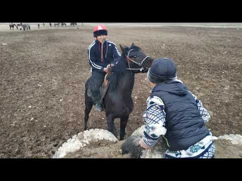 Видео: Орто-Арык жаштары
