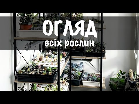 Видео: Огляд всіх рослин