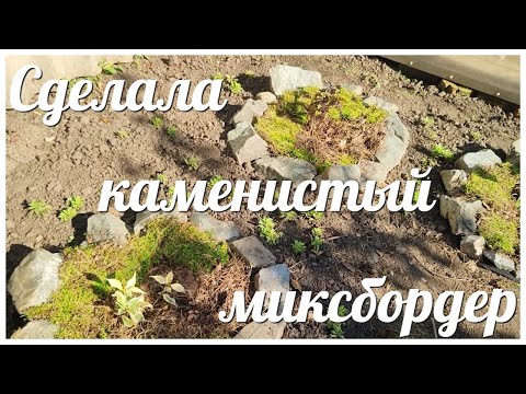 Видео: Сделала новый КАМЕНИСТЫЙ МИКСБОРДЕР