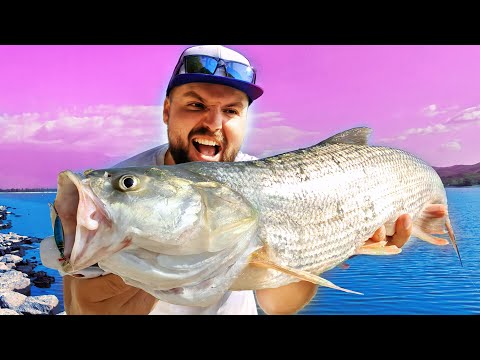 Видео: ТЕЗИ СЪЩЕСТВА НИ ПОБЪРКАХА!!!