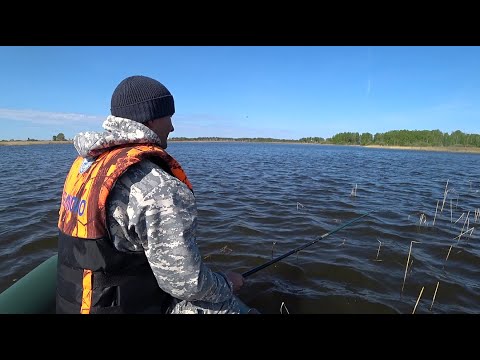 Видео: Ловля карася с лодки в камышах#карасьнаудочку2023#озеро#поплавок#летняярыбалка