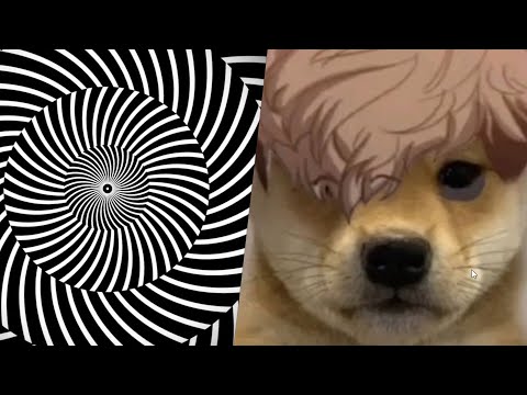 Видео: Гипноз, Давгу нажали на пазухи, татары [разговоры]