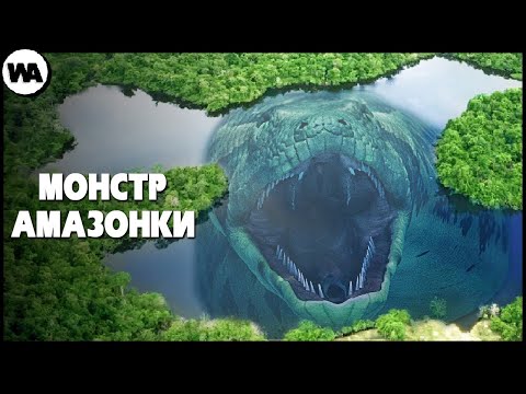 Видео: Почему Река Амазонка Создает Монстров?