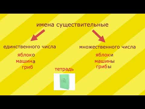 Видео: Единственное и множественное число имён существительных