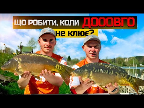 Видео: Ловля карпа на флет фідер весною
