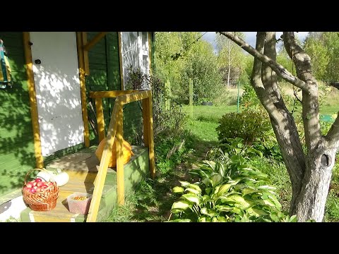 Видео: 2 часть Обзор дачи в сентябре 2020г Кострома