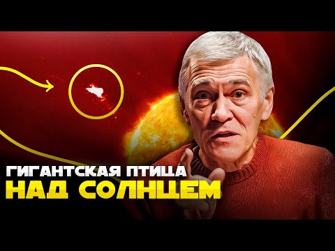 Видео: МИГАЮЩИЕ ПОЛОСЫ НА МАРСЕ / КУСКИ ЛУНЫ – СПУТНИКИ ЗЕМЛИ / ОГРОМНАЯ ПТИЦА НАД СОЛНЦЕМ. Владимир Сурдин